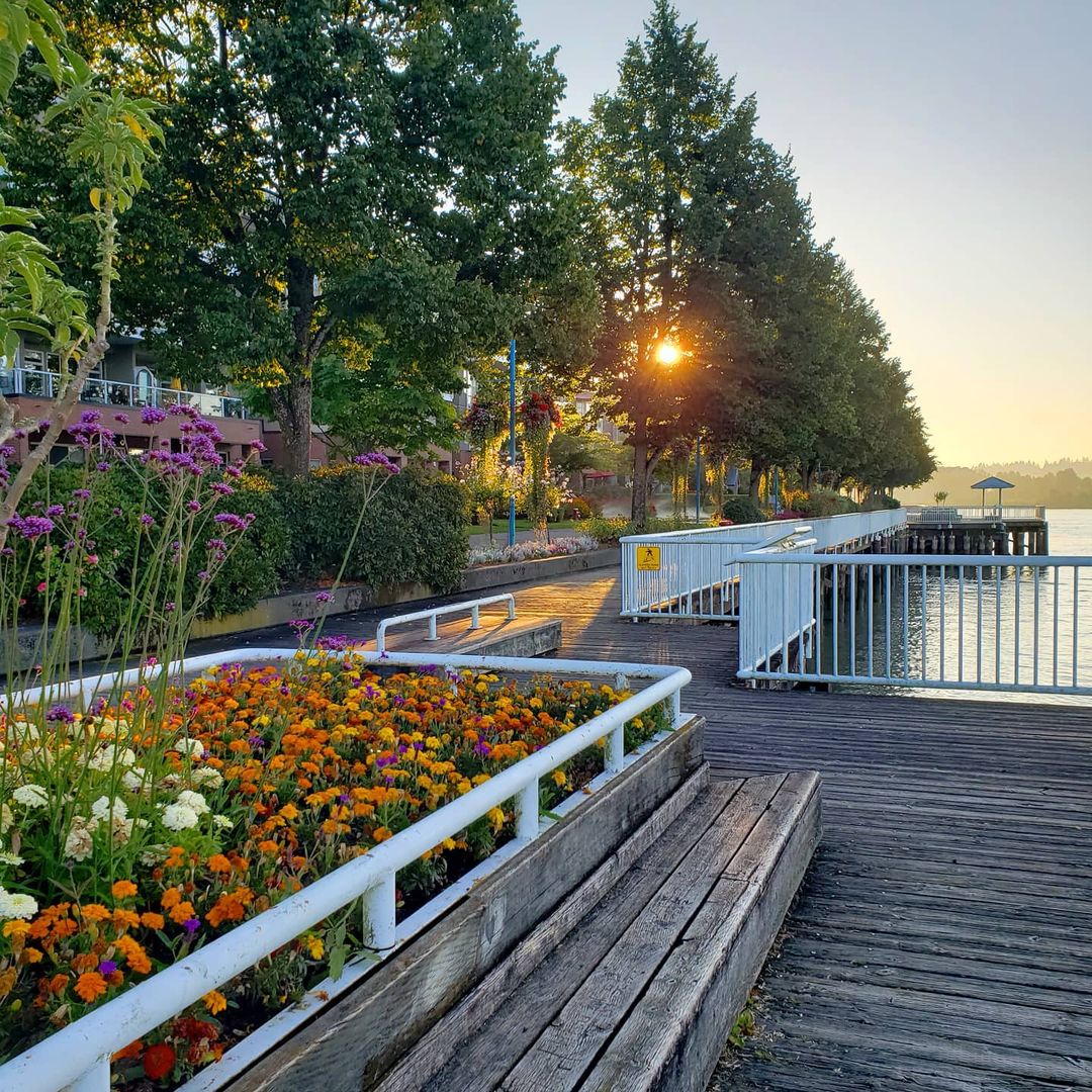 Sunrise along the New Westminster Esplanade. 