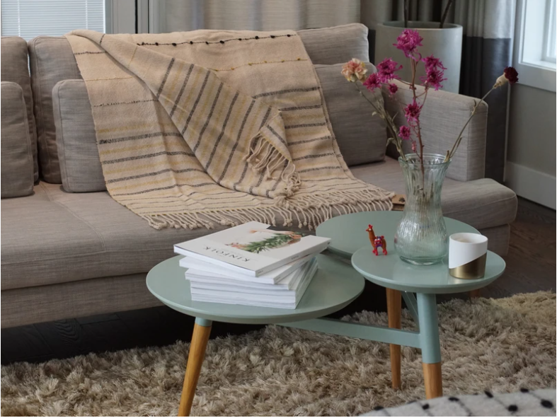 Living room featuring a couch with pillows and striped blanket, as well as coffee table with magazines, trinkets and a vase of flowers